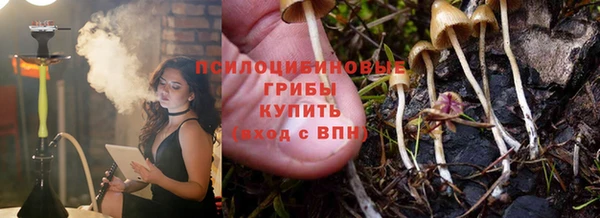 СК Абаза