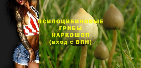 спайс Абдулино