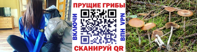 Галлюциногенные грибы MAGIC MUSHROOMS  Тихвин 
