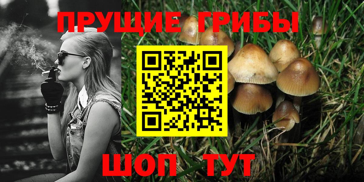 Галлюциногенные грибы Cubensis Тихвин