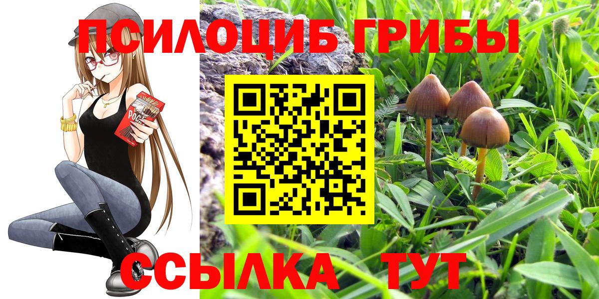 Галлюциногенные грибы Cubensis  Псилоцибиновые грибы ЛСД  Вход с VPN  Тихвин 